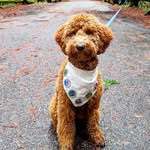 We Love Doodles Coupons and Promo Code