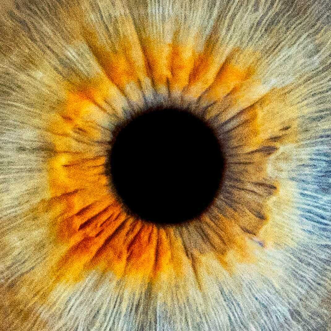 Cosmic Eye Coupons and Promo Code