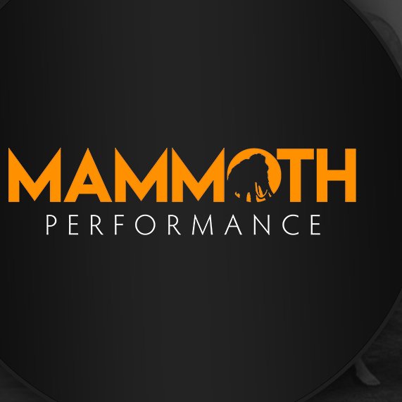 Mammoth Parts Coupons and Promo Code