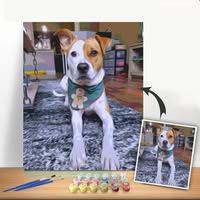 Paint By Number Coupons and Promo Code