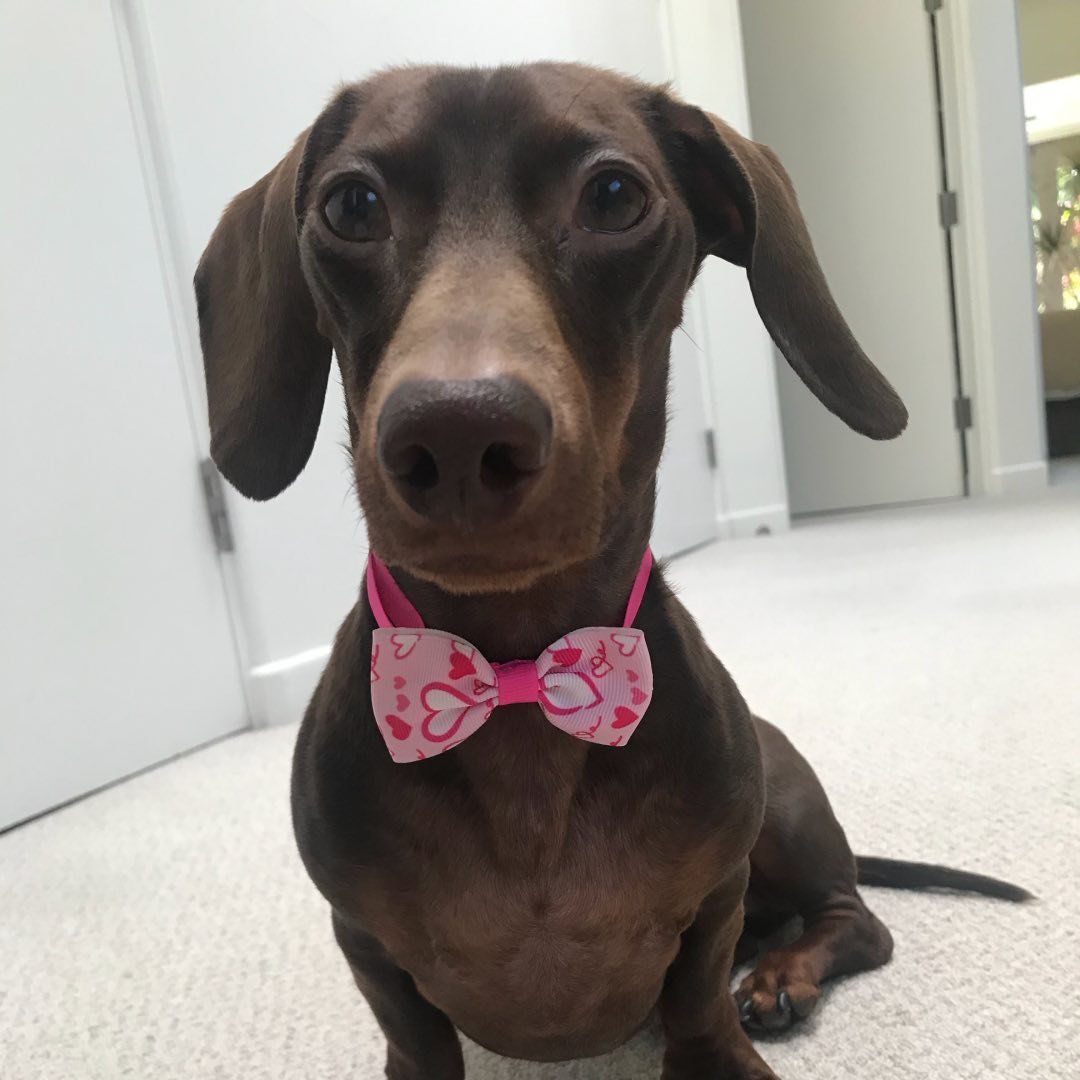 Weenie Warmers Coupons and Promo Code