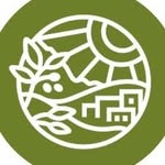 Artza Store Coupons and Promo Code