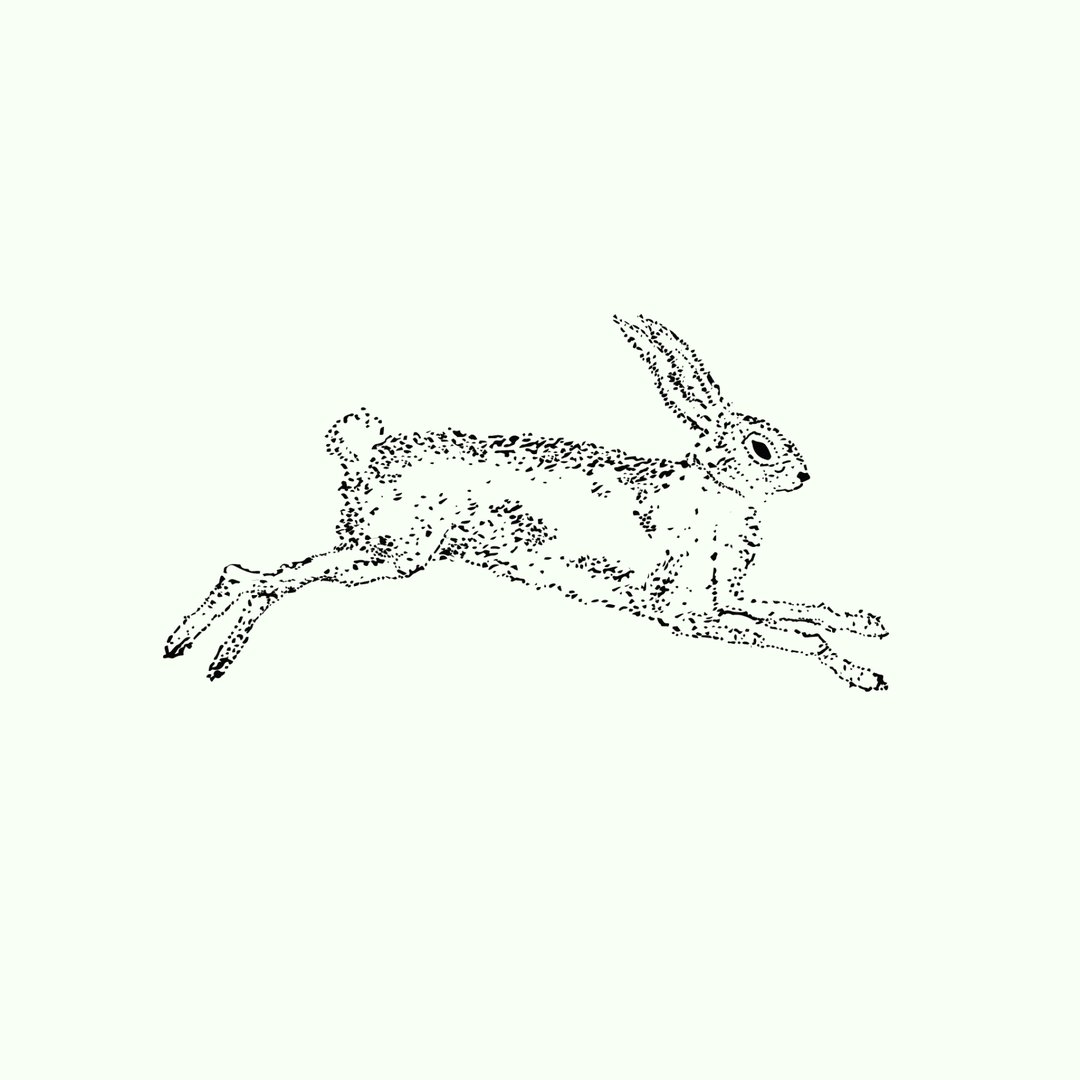 March Hare Watches Coupons and Promo Code
