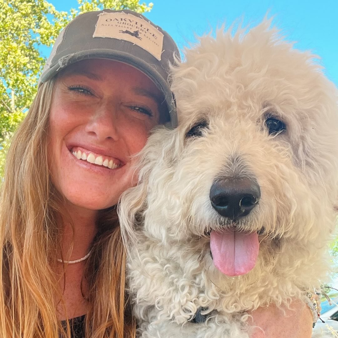 Lucca The Napa Dog Coupons and Promo Code