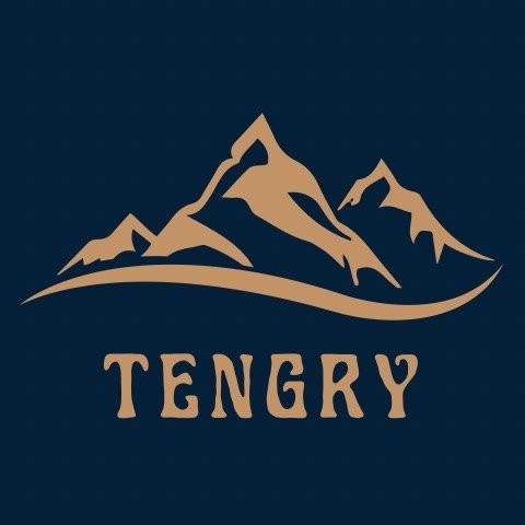 Tengry Store Coupons and Promo Code