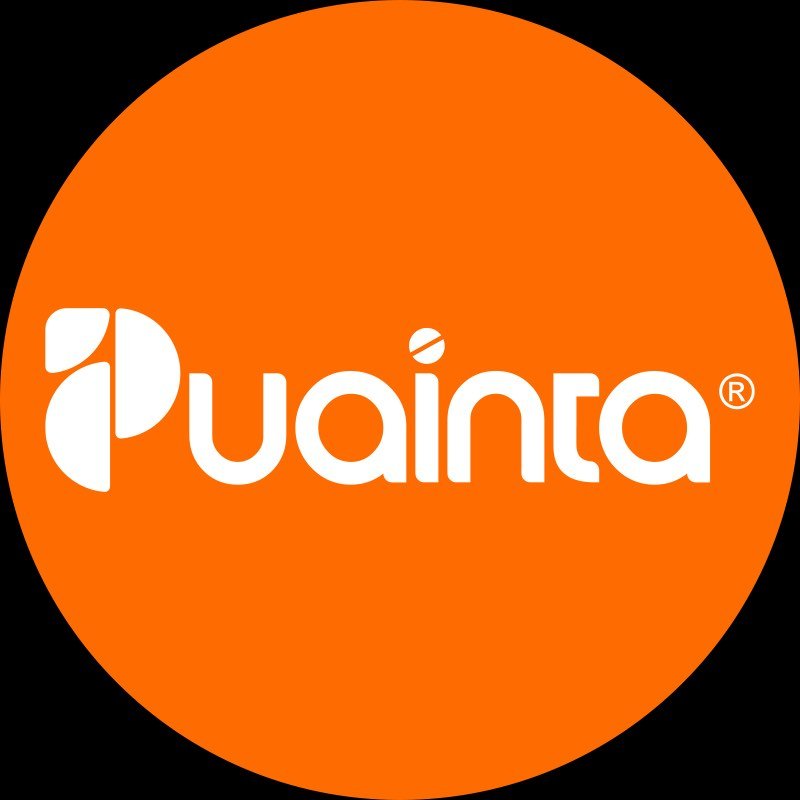 Puainta Coupons and Promo Code