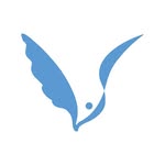 VINGUYS Coupons and Promo Code