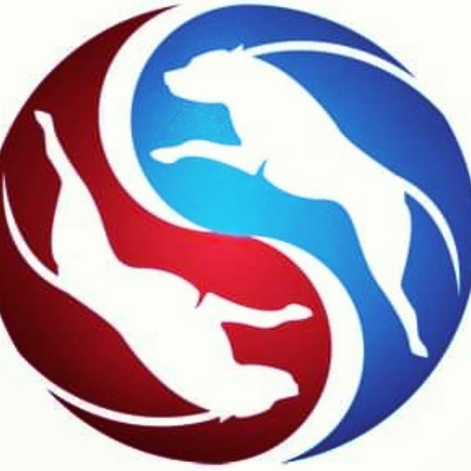 Double Dog Run Coupons and Promo Code