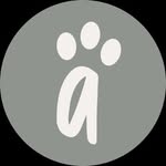 PawBau Coupons and Promo Code