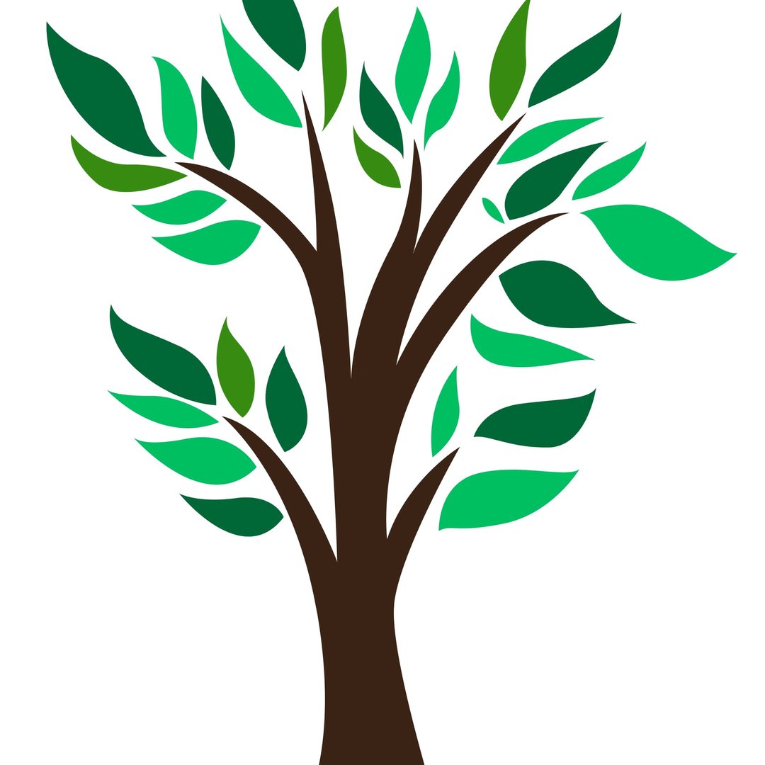 Nationwide Plants Coupons and Promo Code