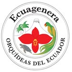 Ecuagenera Coupons and Promo Code