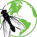 GrubTerra Coupons and Promo Code