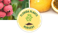 Florida Plants Nursery Coupons and Promo Code